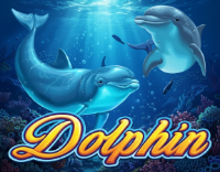 Dolphin slot game